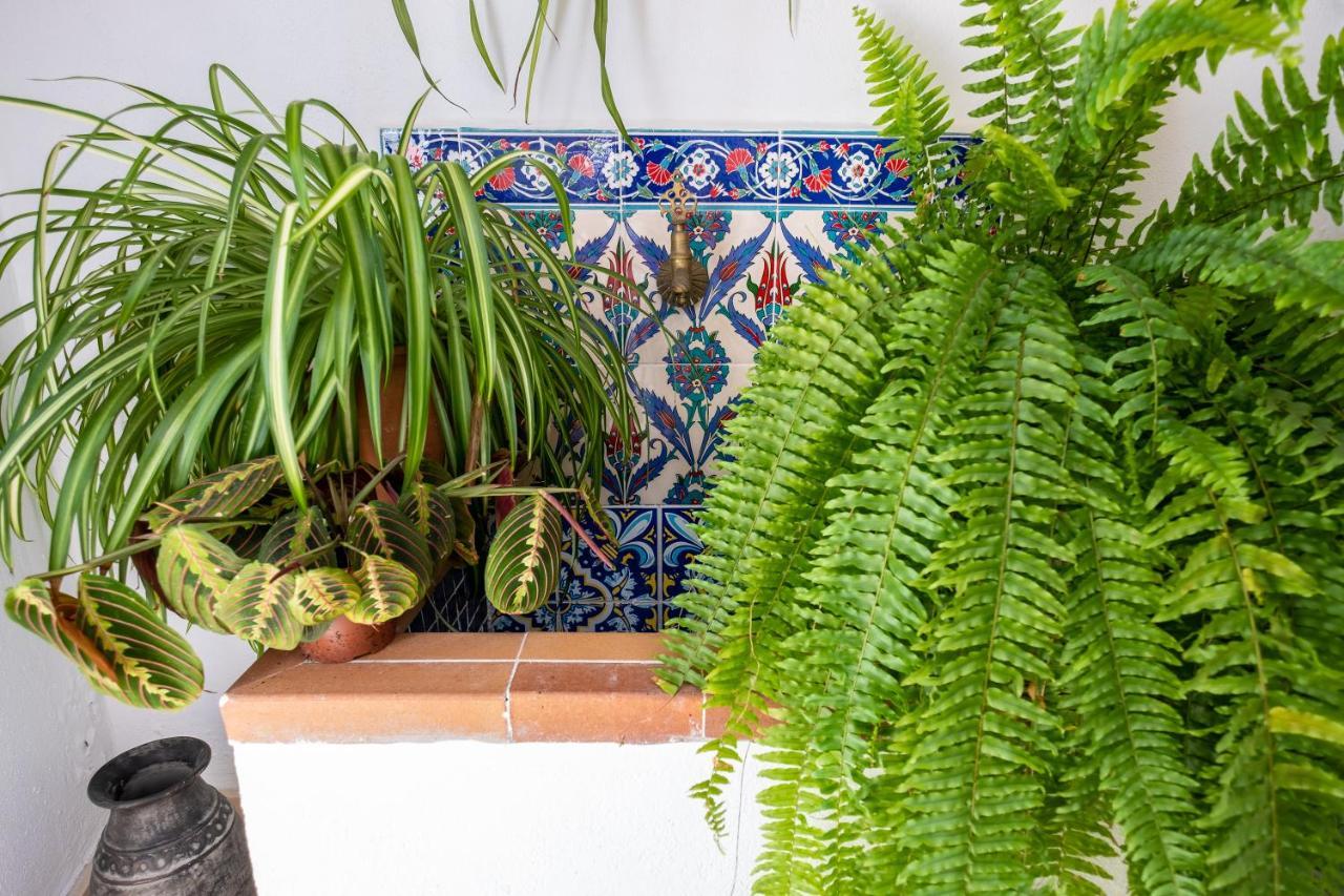 Villa La Casa del Agua Vejer de la Frontera Esterno foto